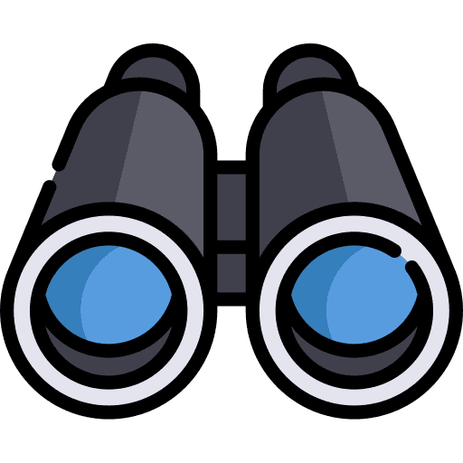 Looking